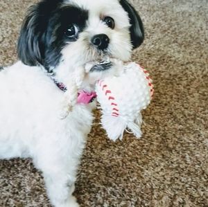 Meet your Posher, Beth